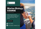 Marine Biology Course South Africa