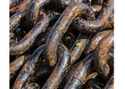 Trust the Sustainable Scrap Brass Recycler near Me	