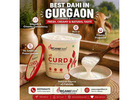 Best Dahi in Gurgaon for Fresh, Creamy & Natural Taste