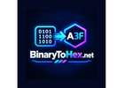 Binary To Hex Converter
