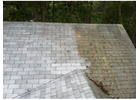 Pressure Roof Cleaning Riversdale