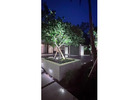 Outdoor Lighting in Miami