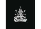 Explore Trusted UK Seed Banks Online With Canna Genetics Premium Collection