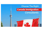 Trusted Canadian Immigration Consultant for Your Immigration Journey