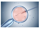 Best IVF Specialist in Noida | Personalized IVF & Fertility Care