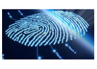 Reliable Digital Fingerprinting Services in Mississauga