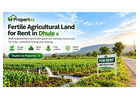 Fertile Agricultural Land for Rent in Dhule for Long-Term Farming | Propertzz