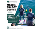 Marine Biology Course South Africa