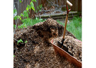 Care for Your Plants with Top Garden Supplies in Adelaide