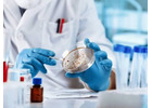 Microbiology Laboratory Near Me for Reliable Testing and Accurate Results