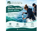 Study Marine Biology South Africa