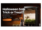 Halloween Sale - Trick or Treat? from Spider Farmer