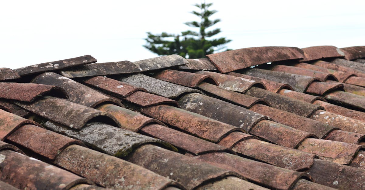 Roof Replacement Sydney