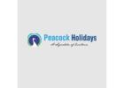 Explore India with Peacock Holidays – Travel Experts