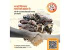 Feed, Heal & Shelter: Join Hands with an Online Donation for Gaushala