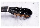Strength in Silence The Enduring Power of Sitka Spruce Bracewood