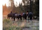 Experience the Ultimate Jackson Hole Pack Trip!