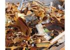 Scrap brass recycler near me
