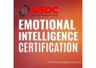 Boost Your Leadership & People Skills with a Certified Emotional Intelligence Course