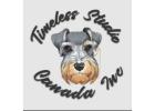 Web design by Timeless Studio