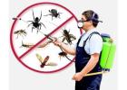 Choose USSPestCon Services Pvt Ltd for Reliable Pest Control in Jaipur!