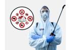 Book Trusted Kolkata Pest Control Service at Best Price