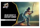 Online Cricket ID WhatsApp Number - We can help with any Application
