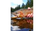 Salt River Magic – Scenic Waters, Thrilling Fishing