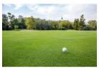 Trusted Golf Turf Manufacturer for High-Performance Greens