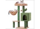 Smart Pet Care Products for Hassle-Free Routines