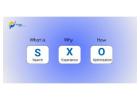 What is SXO? The Future of Search Experience Optimization