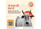 Nourish a Life with an Online Donation for Gaushala