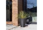 Add Instant Character With Artificial Hanging Plants Online 