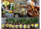 Moksha Narayana Bali Pooja in Kannada