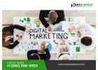 From Hidden to Trending: E-commerce-SEO-Services Miami