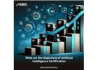 What are the Objectives of Artificial Intelligence Certification