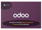 Looking For A Trusted Odoo development Company For Your Business