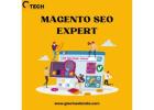 Top Magento SEO Expert for Guaranteed Google Rankings