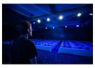 Lighting Company Dallas
