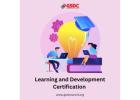 Boost Your Career with Learning and Development Certification