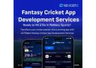 Fantasy Cricket App Development Company 