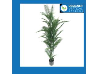 Brighten Your Walls With Artificial Plants at Wholesale in Melbourne Brighten Your Walls With Artificial Plants at Wholesale in Melbourne