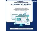 ecommerce website development company in udaipur