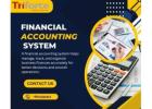 Simplify Business Finances with a Reliable Financial Accounting System