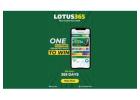 Download Lotus365 APK – Fast, Safe 