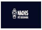 Top Pet Groomer in Tampa | Gentle & Skilled Care by Nachis