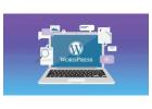 Expert WordPress Development Services India That Deliver Results