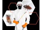 Best Pest Control Services in Jaipur with Guaranteed Safety | Usspestcon Services Pvt Ltd