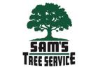 Tree Service Sonoma County