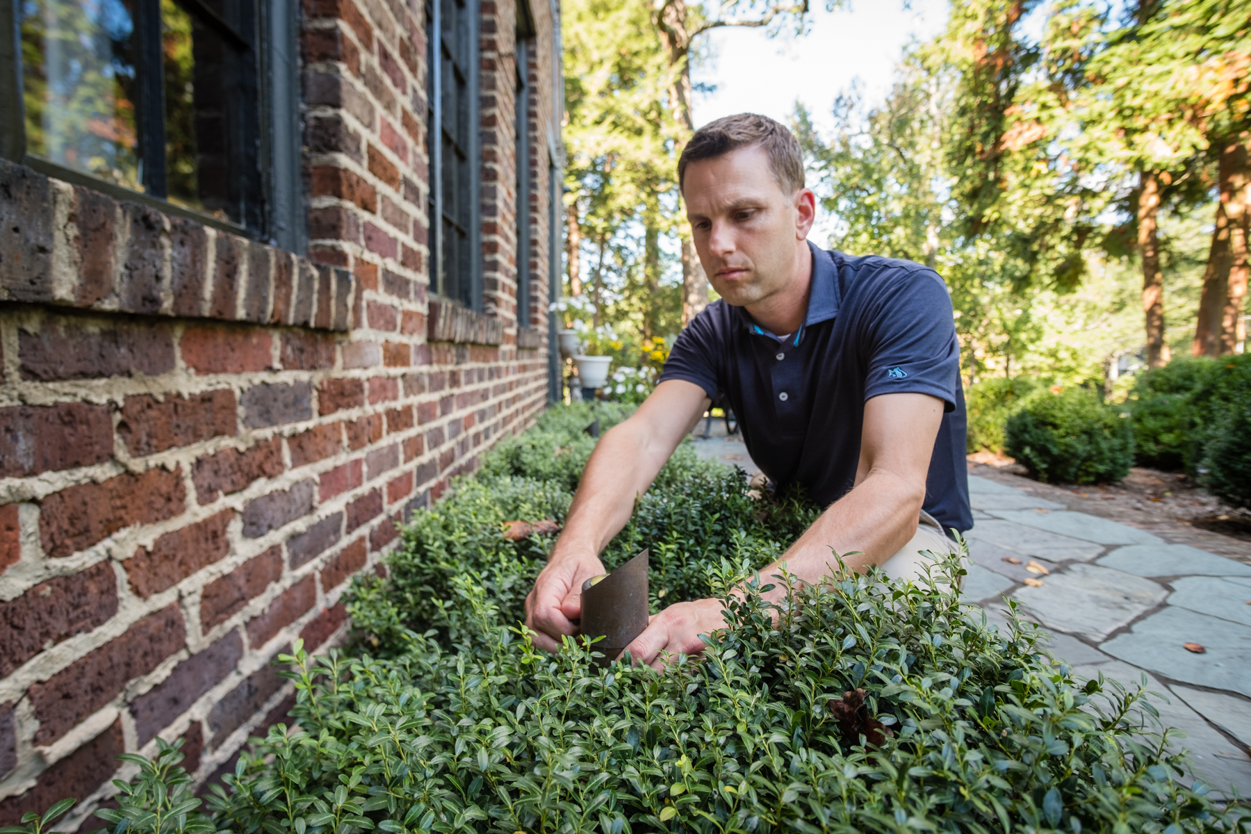 A Checklist For Successful Landscape Lighting Maintenance